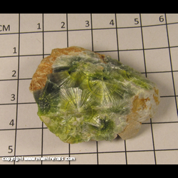 Minerals Specimen: Wavellite from Montgomery Co, Arkansas Minerals Specimen: Wavellite from Montgomery Co, Arkansas