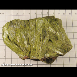 Minerals Specimen: Epidote from location unknown Minerals Specimen: Epidote from location unknown