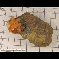Mineral Specimen: Quartz variety Eisenkessel on Marcasite from location unknown