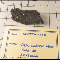 Minerals Specimen: Mottramite from Total Wreck Mine, Pima Co., Arizona Minerals Specimen: Mottramite from Total Wreck Mine, Pima Co., Arizona