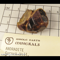 Minerals Specimen: Andradite Garnet from Garnet Hill, Calaveras Co., California Minerals Specimen: Andradite Garnet from Garnet Hill, Calaveras Co., California