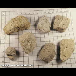Mineral Specimen: Pumice - floats in water - 7 pieces from Elko Co., Nevada