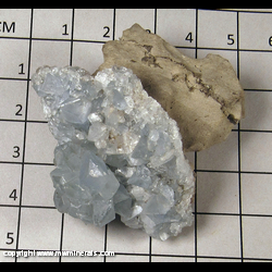 Mineral Specimen: Celestine - Thin layer of crystals on etched limestone from Maybee, Monroe Co, Michigan Mineral Specimen: Celestine - Thin layer of crystals on etched limestone from Maybee, Monroe Co, Michigan