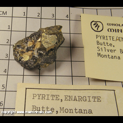 Minerals Specimen: Pyrite, Enargite from Butte, Silver Bow Co, Montana Minerals Specimen: Pyrite, Enargite from Butte, Silver Bow Co, Montana