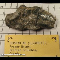 Mineral Specimen: Serpentine from Frazer River, British Columbia, Canada