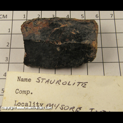 Mineral Specimen: Staurolite from Mysore, India