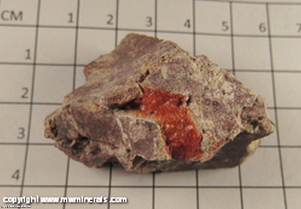 Minerals Specimen: Cuprite variety Chalcotrichite from Bisbee, Warren dist, Cochise Co, Arizona Minerals Specimen: Cuprite variety Chalcotrichite from Bisbee, Warren dist, Cochise Co, Arizona