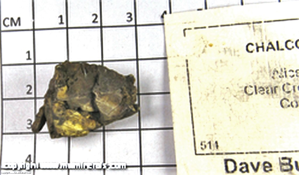 Mineral Specimen: Chalcopyrite from Alice Mine, Clear Creek Co., Colorado
