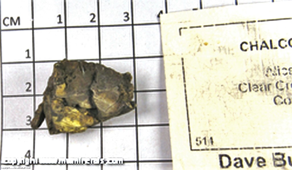 Mineral Specimen: Chalcopyrite from Alice Mine, Clear Creek Co., Colorado Mineral Specimen: Chalcopyrite from Alice Mine, Clear Creek Co., Colorado