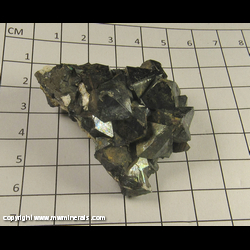 Minerals Specimen: Magneite Crystals from Machacamarca, Potosi, Bolivia Minerals Specimen: Magneite Crystals from Machacamarca, Potosi, Bolivia