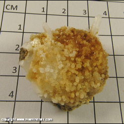 Minerals Specimen: Mordenite, Stilbite, Calcite on Quartz from Rickreall Creek, Burrow Pit, Polk Co., Oregon Minerals Specimen: Mordenite, Stilbite, Calcite on Quartz from Rickreall Creek, Burrow Pit, Polk Co., Oregon