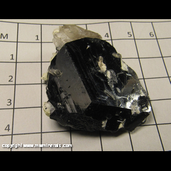 Mineral Specimen: Tourmaline (Schorl and/or Foitite) ,Quartz, Feldspar from Erongo Mountain, Erongo, Namibia