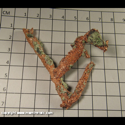 Minerals Specimen: Copper Crystals (sealed) from Keweenaw Peninsula, Michgain Minerals Specimen: Copper Crystals (sealed) from Keweenaw Peninsula, Michgain