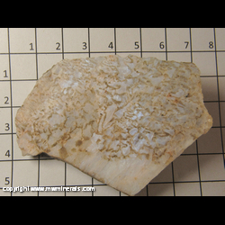 Mineral Specimen: Blue Moonstone Slab from Ontario, Canada Mineral Specimen: Blue Moonstone Slab from Ontario, Canada