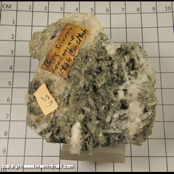 Minerals Specimen: Pyrite on Quartz from Bogg Silver and Lead Mine, Utah Co., Utah Minerals Specimen: Pyrite on Quartz from Bogg Silver and Lead Mine, Utah Co., Utah