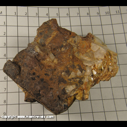 Mineral Specimen: Limonite Pseudomorph after Pyrite from White Mountain, Mono Co,  California