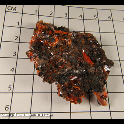 Mineral Specimen: Crocoite, Goethite from Red Lead Mine, Dundas, Tasmania, Australia Mineral Specimen: Crocoite, Goethite from Red Lead Mine, Dundas, Tasmania, Australia