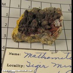 Minerals Specimen: Mottramite on Quartz from Tiger, Mammoth Dist, Pinal Co, Arizona Minerals Specimen: Mottramite on Quartz from Tiger, Mammoth Dist, Pinal Co, Arizona