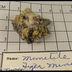 Minerals Specimen: Mimetite on Quartz from Tiger, Mammoth Dist, Pinal Co, Arizona Minerals Specimen: Mimetite on Quartz from Tiger, Mammoth Dist, Pinal Co, Arizona