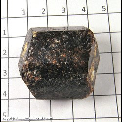 Mineral Specimen: Dravite Tourmaline, double terminated from Yinnietharra, Upper Gascoyne Shire, Western Australia, Australia Mineral Specimen: Dravite Tourmaline, double terminated from Yinnietharra, Upper Gascoyne Shire, Western Australia, Australia