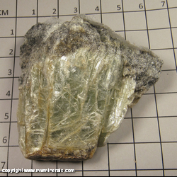Mineral Specimen: Talc from Newfane, Windham Co., Vermont Mineral Specimen: Talc from Newfane, Windham Co., Vermont
