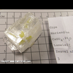 Mineral Specimen: Sulfur on and included in Gypsum from Cozo Disi, Catelterminini, Zolfare, Agrigento, Sicily, Italy Mineral Specimen: Sulfur on and included in Gypsum from Cozo Disi, Catelterminini, Zolfare, Agrigento, Sicily, Italy