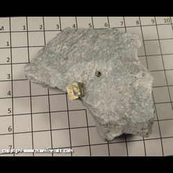 Minerals Specimen: Pyrite, Talc from Trimouns Talc Mine, Luzenac, Ariege, Midi-Pyrenees, France Minerals Specimen: Pyrite, Talc from Trimouns Talc Mine, Luzenac, Ariege, Midi-Pyrenees, France