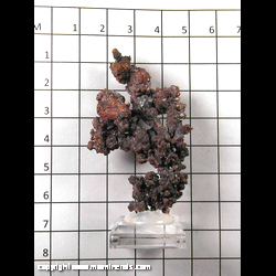 Mineral Specimen: Copper from Itauz, Djezazgan, Kzakhstan
