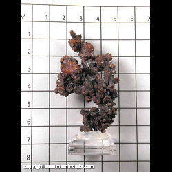 Mineral Specimen: Copper from Itauz, Djezazgan, Kzakhstan Mineral Specimen: Copper from Itauz, Djezazgan, Kzakhstan
