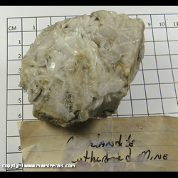 Mineral Specimen: Albite variety Cleavelandite from Rutherford Mines, Amelia (Amelia Court House), Amelia Co., Virginia Mineral Specimen: Albite variety Cleavelandite from Rutherford Mines, Amelia (Amelia Court House), Amelia Co., Virginia