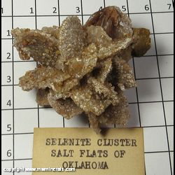 Mineral Specimen: Selenite with Included Pebbles and Sand from Great Salt Plains, Jet, Alfalfa Co,  Oklahoma