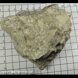 Mineral Specimen: Orthoclase Crystals in Matrix from Crystal Pass properties, Goodsprings District, Spring Mts, Clark Co., Nevada Mineral Specimen: Orthoclase Crystals in Matrix from Crystal Pass properties, Goodsprings District, Spring Mts, Clark Co., Nevada