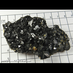 Mineral Specimen: Sphalerite (some crystals are gemmy when backlit) from Madan, Bulgaria Mineral Specimen: Sphalerite (some crystals are gemmy when backlit) from Madan, Bulgaria