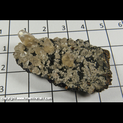Mineral Specimen: Calcite Crystals on Thin Plate of Fluorite Crystals from Hardin Co, Illinois Mineral Specimen: Calcite Crystals on Thin Plate of Fluorite Crystals from Hardin Co, Illinois