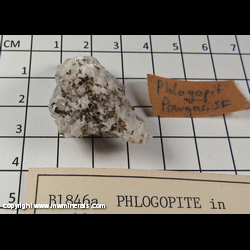 Mineral Specimen: Phlogopite in Marble from Pargas, Finland Mineral Specimen: Phlogopite in Marble from Pargas, Finland