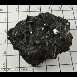 Mineral Specimen: Coronadite Pseudomorph after Wulfenite (crystals are broken) from Glove Mine, Devil's Cash Box ridge, Amado, Cottonwood Canyon, Tyndall District, Santa Rita Mts, Santa Cruz Co., Arizona