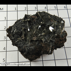 Mineral Specimen: Coronadite Pseudomorph after Wulfenite (crystals are broken) from Glove Mine, Devil's Cash Box ridge, Amado, Cottonwood Canyon, Tyndall District, Santa Rita Mts, Santa Cruz Co., Arizona Mineral Specimen: Coronadite Pseudomorph after Wulfenite (crystals are broken) from Glove Mine, Devil's Cash Box ridge, Amado, Cottonwood Canyon, Tyndall District, Santa Rita Mts, Santa Cruz Co., Arizona