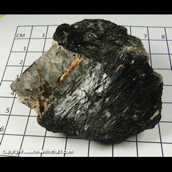Mineral Specimen: Lamprophyllite, Aegirine from Mt. Rasvumtchorr, Chibiny, Kola Peninsula, Russia Mineral Specimen: Lamprophyllite, Aegirine from Mt. Rasvumtchorr, Chibiny, Kola Peninsula, Russia
