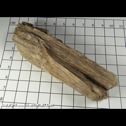 Mineral Specimen: Stibiconite Pseudomorph after Stibnite from Catorce, San Luis Potosi, Mexico
