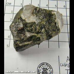 Mineral Specimen: Epidote and Calcite (SW FL) from Aeroplane Mine, Tungsten Hills, West Bishop, Bishop Dist., Inyo Co., California Mineral Specimen: Epidote and Calcite (SW FL) from Aeroplane Mine, Tungsten Hills, West Bishop, Bishop Dist., Inyo Co., California