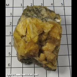 Mineral Specimen: Stilbite from New Jersey