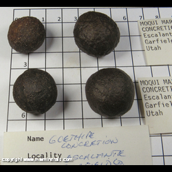 Mineral Specimen: Hematite/Goethite/Limonite Concretions from Escalante, Garfield Co., Utah Mineral Specimen: Hematite/Goethite/Limonite Concretions from Escalante, Garfield Co., Utah
