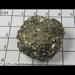 Mineral Specimen: Pyrite from Cap Blanc-Nez, Pas-de-Calais, Hauts-de-France, France