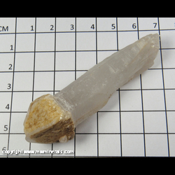 Mineral Specimen: Quartz variety: Scepter from Cerro Negra, Minas Gerais, Brazil