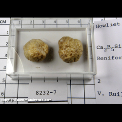 Mineral Specimen: Howlite Nodules (2) from Kurtpinari mine, Faraskoy, Bigadic, Balikesir Prov., Marmara Region, Turkey Mineral Specimen: Howlite Nodules (2) from Kurtpinari mine, Faraskoy, Bigadic, Balikesir Prov., Marmara Region, Turkey