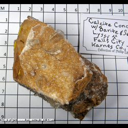 Mineral Specimen: Calcite, Barite, Selenite from Lyssy Mine, Falls City, Karnes Co., Texas Mineral Specimen: Calcite, Barite, Selenite from Lyssy Mine, Falls City, Karnes Co., Texas