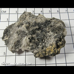 Mineral Specimen: Stibnite from Pereta Mine, Pereta, Scansano, Grosseto Prov., Tuscany, Italy Mineral Specimen: Stibnite from Pereta Mine, Pereta, Scansano, Grosseto Prov., Tuscany, Italy