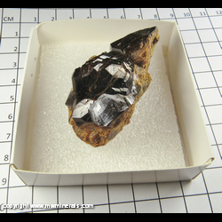 Mineral Specimen: Andradite Garnet from Garnet Hill, Calaveras Co, California Mineral Specimen: Andradite Garnet from Garnet Hill, Calaveras Co, California