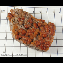 Mineral Specimen: Agate, variety Grape from Celestite Queen Mine, Emery Co, Utah Mineral Specimen: Agate, variety Grape from Celestite Queen Mine, Emery Co, Utah