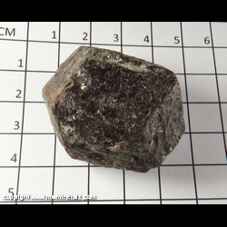 Mineral Specimen: Almandine Garnet from Tyrol, Austria Mineral Specimen: Almandine Garnet from Tyrol, Austria